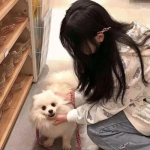 神武4手游测试版下载